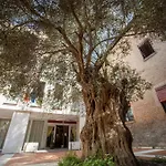 Ego' & Center פררה