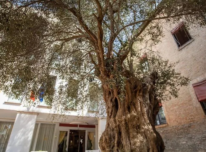 Ego' & Center Ferrara