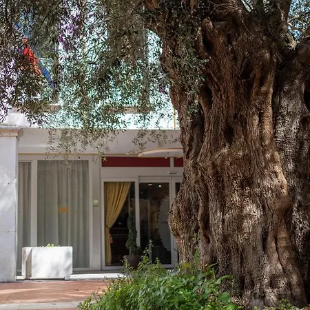 Apartahotel Ego' & Center 4*