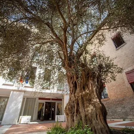 Ego' フェラーラ