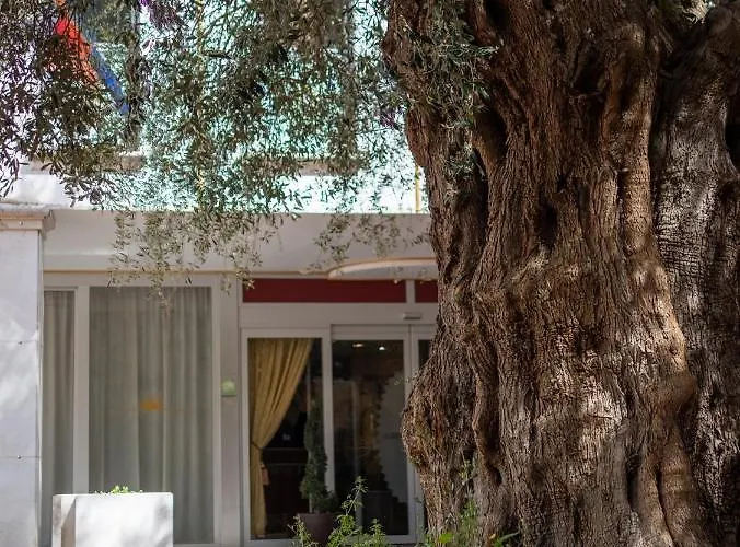 Ξενοδοχείο με διαμερίσματα Ego' & Center 4*